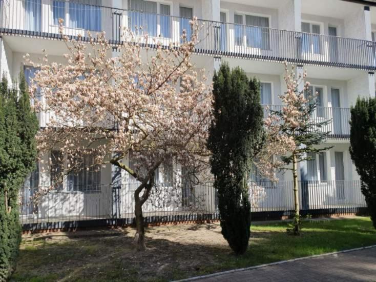Osrodek Wczasowy Wrzos Łukęcin מראה חיצוני תמונה